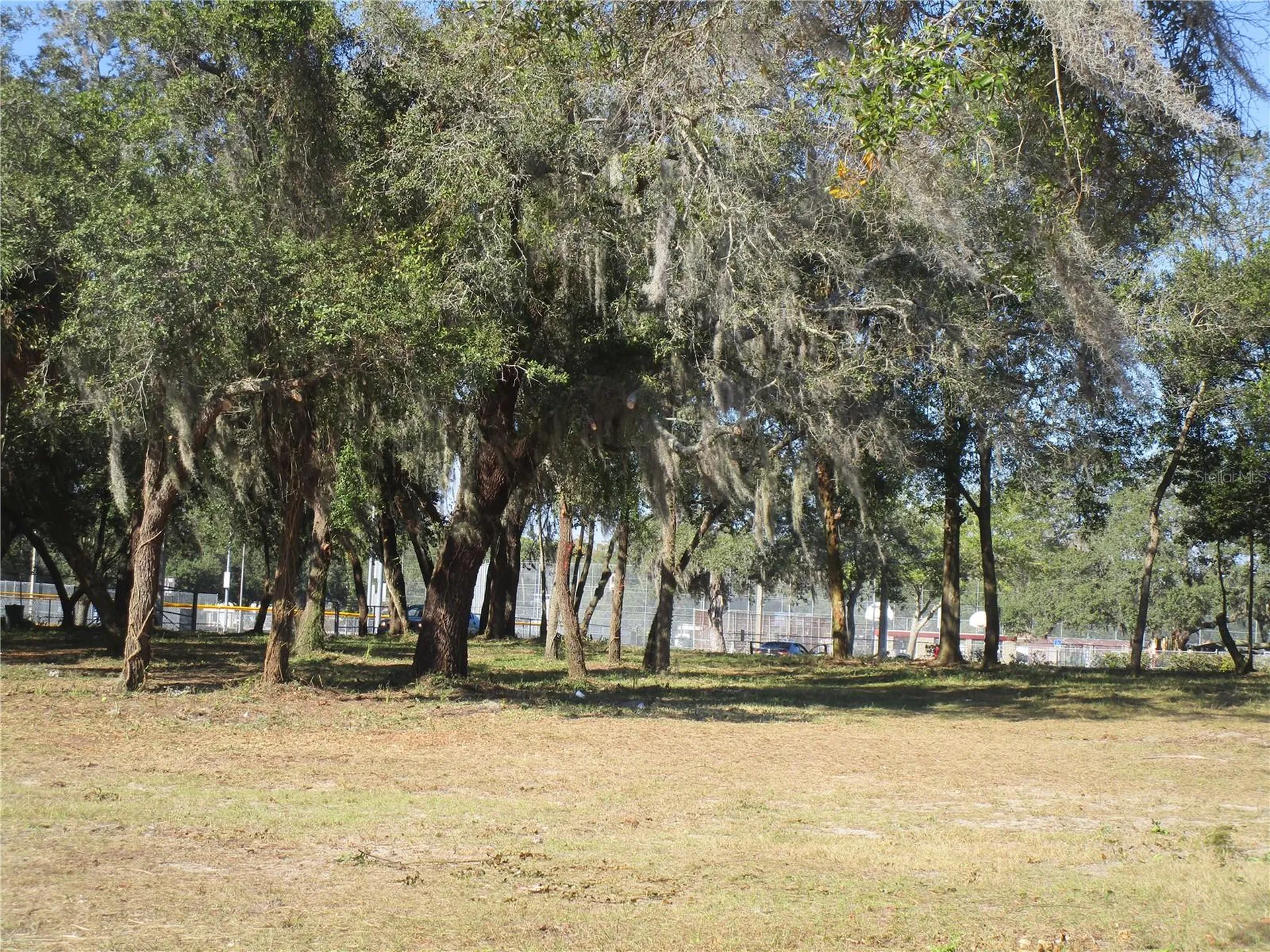 6718 N Rome Avenue Tampa FL 33604