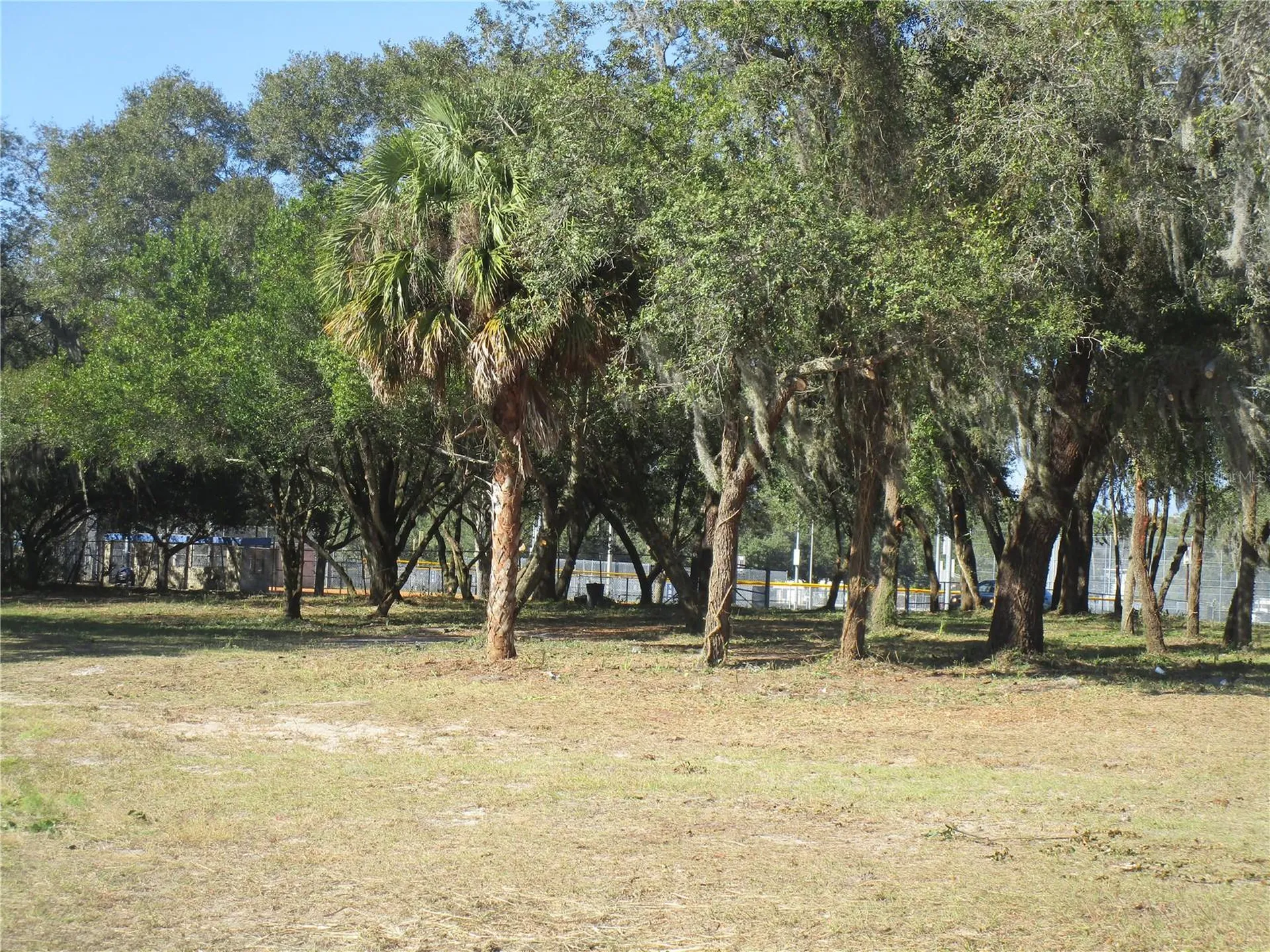 6718 N Rome Avenue Tampa FL 33604