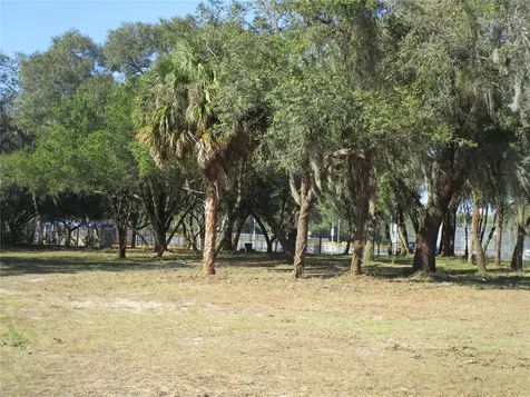6718 N Rome Avenue Tampa FL 33604