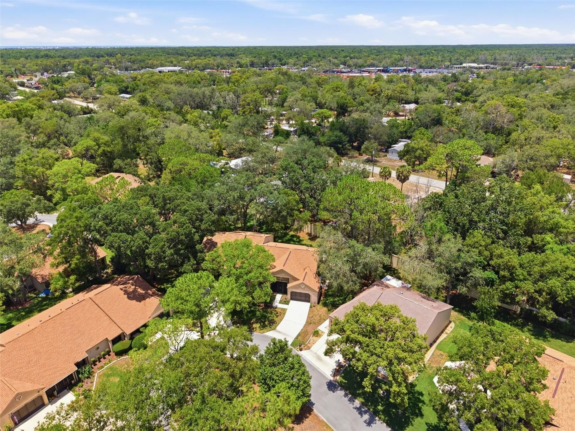 6695 Pin Oak Court Spring Hill FL 34606