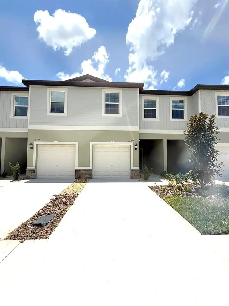 10203 Trumpet Honeysuckle Way San Antonio FL 33576