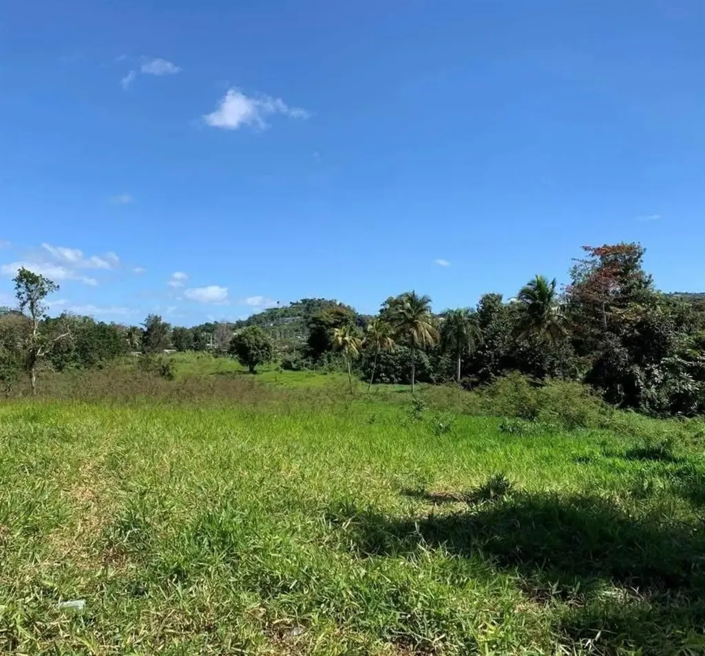 Pr 6684 Buena Vista Km Hm 2.5 Morovis PR 00687