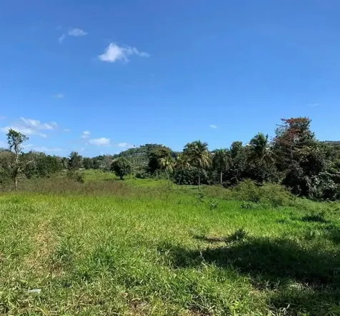 Pr 6684 Buena Vista Km Hm 2.5 Morovis PR 00687