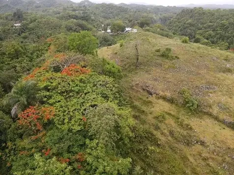 Pr 6684 Buena Vista Km Hm 2.5 Morovis PR 00687