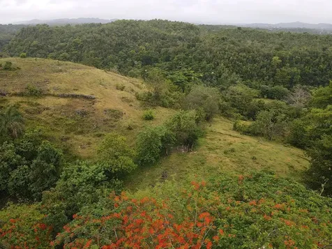 Pr 6684 Buena Vista Km Hm 2.5 Morovis PR 00687
