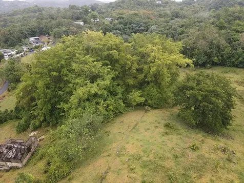 Pr 6684 Buena Vista Km Hm 2.5 Morovis PR 00687