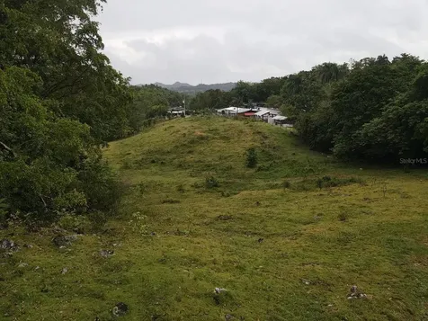 Pr 6684 Buena Vista Km Hm 2.5 Morovis PR 00687