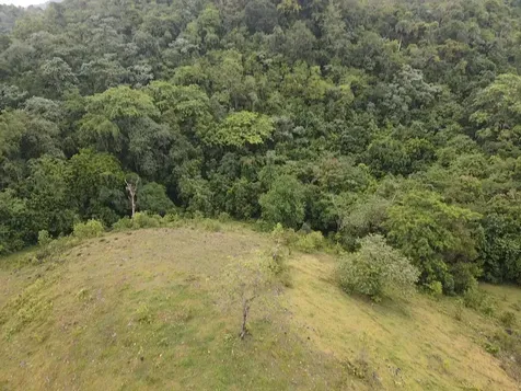 Pr 6684 Buena Vista Km Hm 2.5 Morovis PR 00687