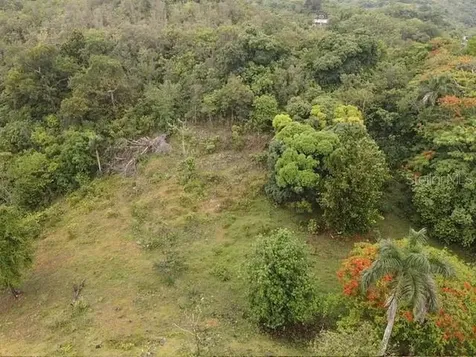 Pr 6684 Buena Vista Km Hm 2.5 Morovis PR 00687