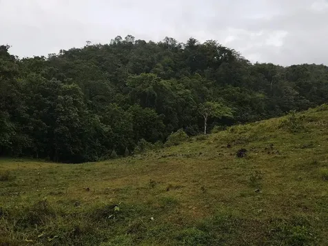 Pr 6684 Buena Vista Km Hm 2.5 Morovis PR 00687