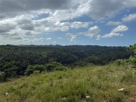 Pr 6684 Buena Vista Km Hm 2.5 Morovis PR 00687