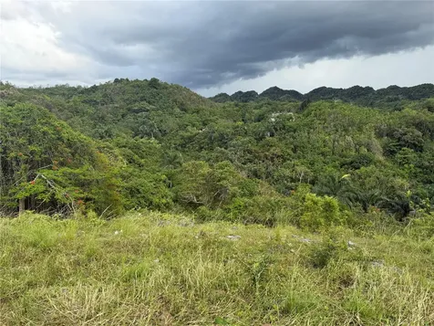 Pr 6684 Buena Vista Km Hm 2.5 Morovis PR 00687