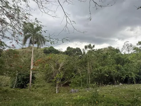 Pr 6684 Buena Vista Km Hm 2.5 Morovis PR 00687