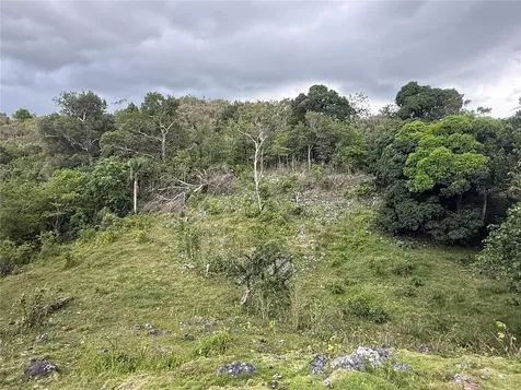 Pr 6684 Buena Vista Km Hm 2.5 Morovis PR 00687