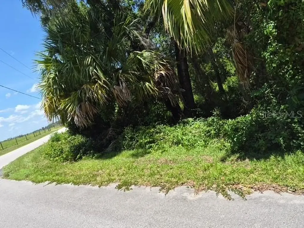 69 SE Ocklawaha FL 32179