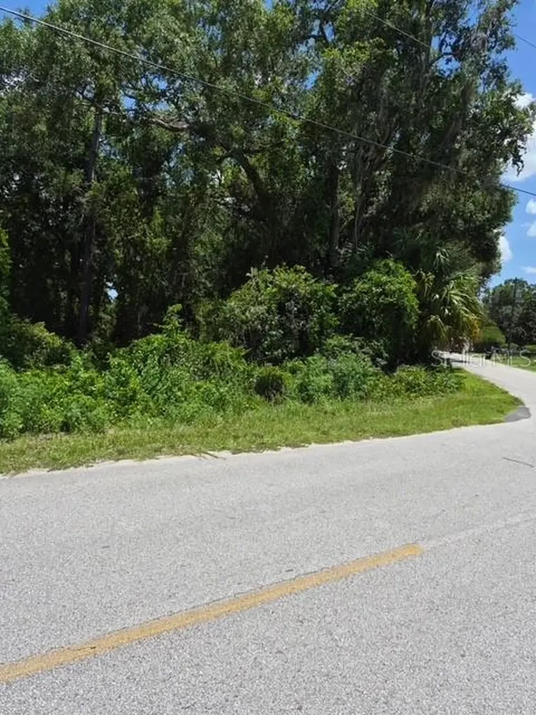 69 SE Ocklawaha FL 32179