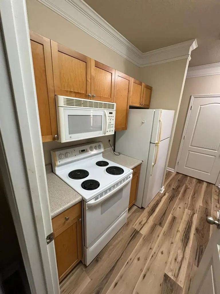 8801 Villa View Circle Orlando FL 32821