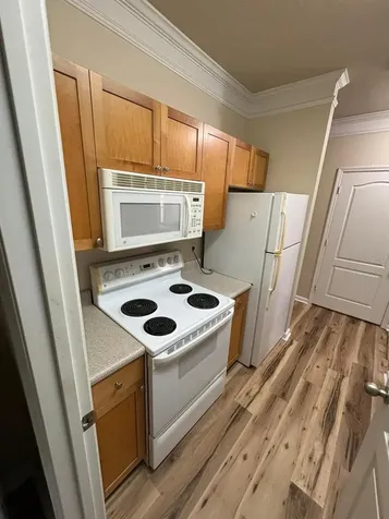 8801 Villa View Circle Orlando FL 32821