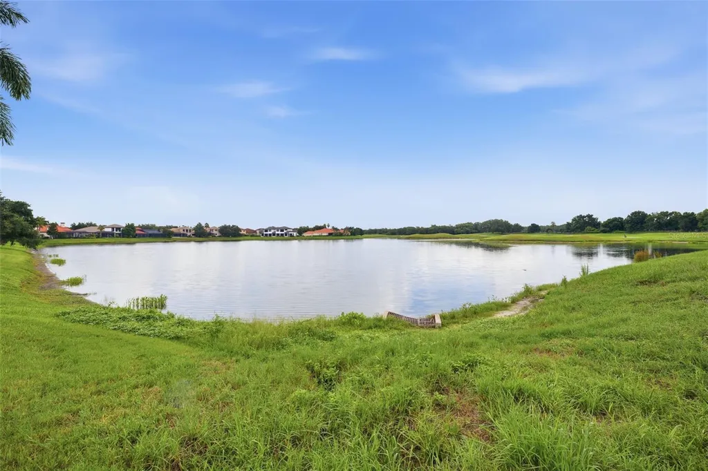 10341 Altrara Way Trinity FL 34655
