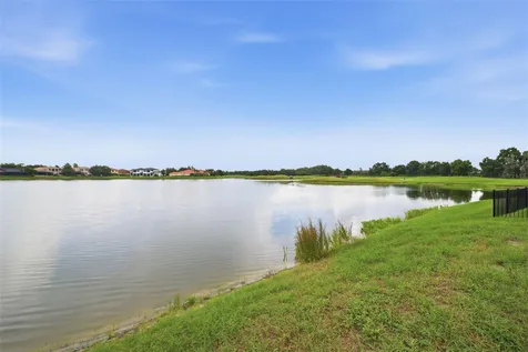 10341 Altrara Way Trinity FL 34655