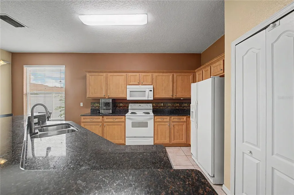 3739 Golden Eagle Drive Land O Lakes FL 34639