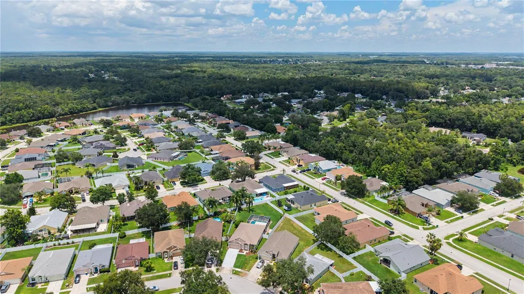 3739 Golden Eagle Drive Land O Lakes FL 34639