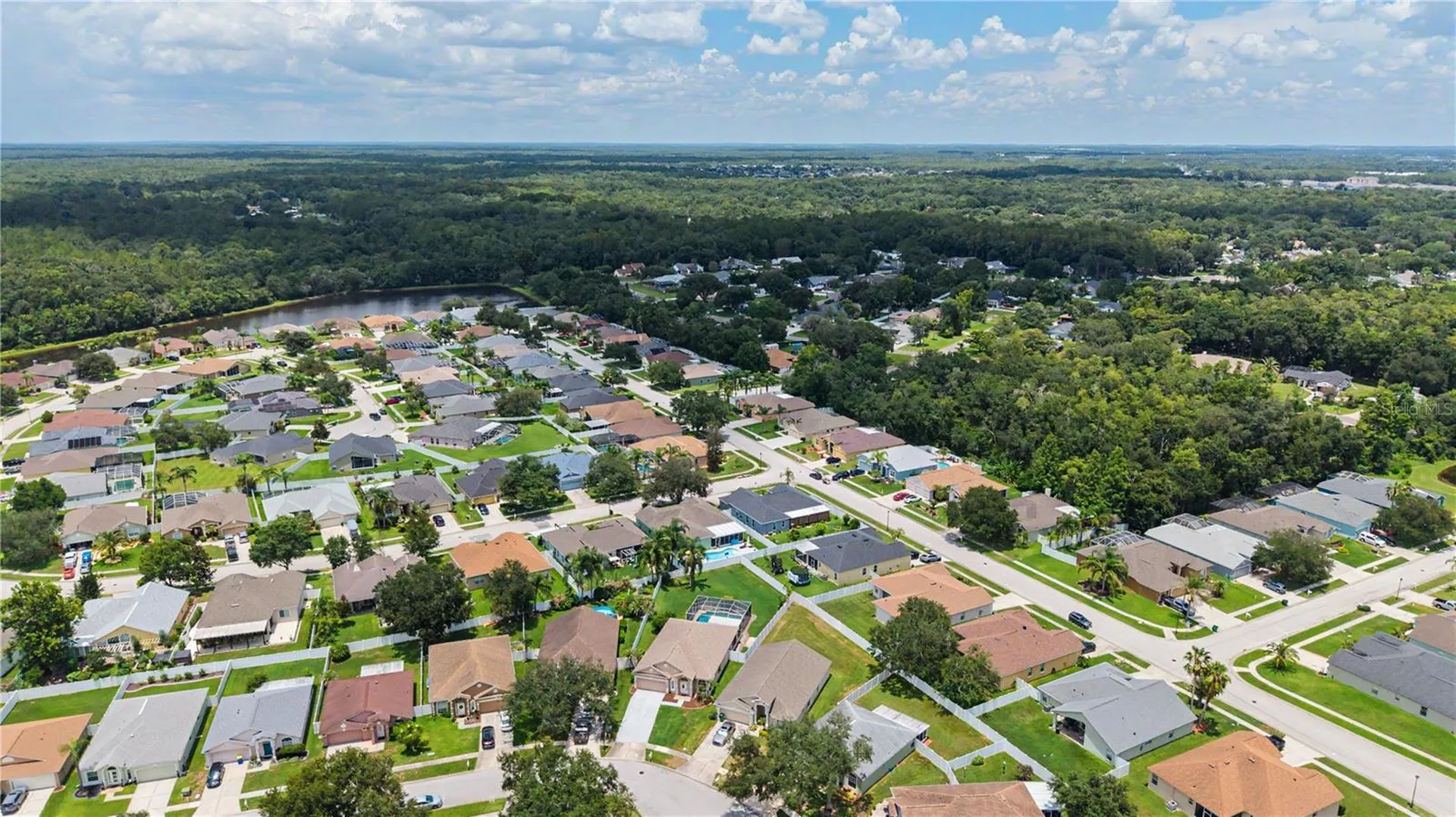 3739 Golden Eagle Drive Land O Lakes FL 34639