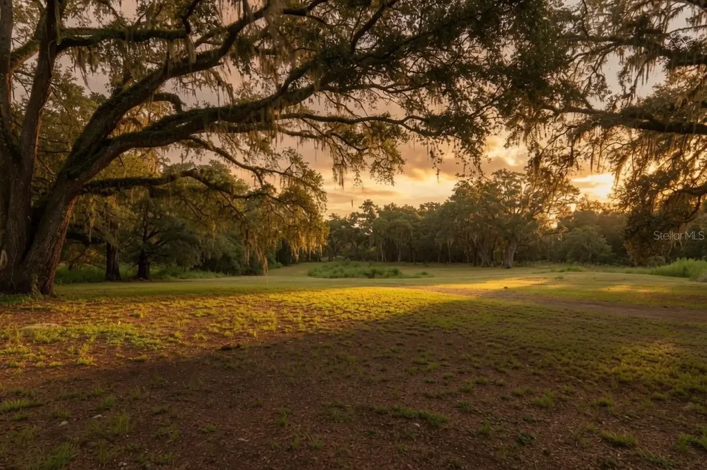 24368 Dorsey Smith Road Brooksville FL 34601