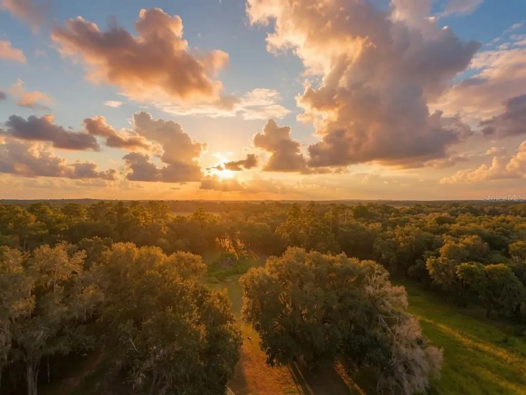 24368 Dorsey Smith Road Brooksville FL 34601