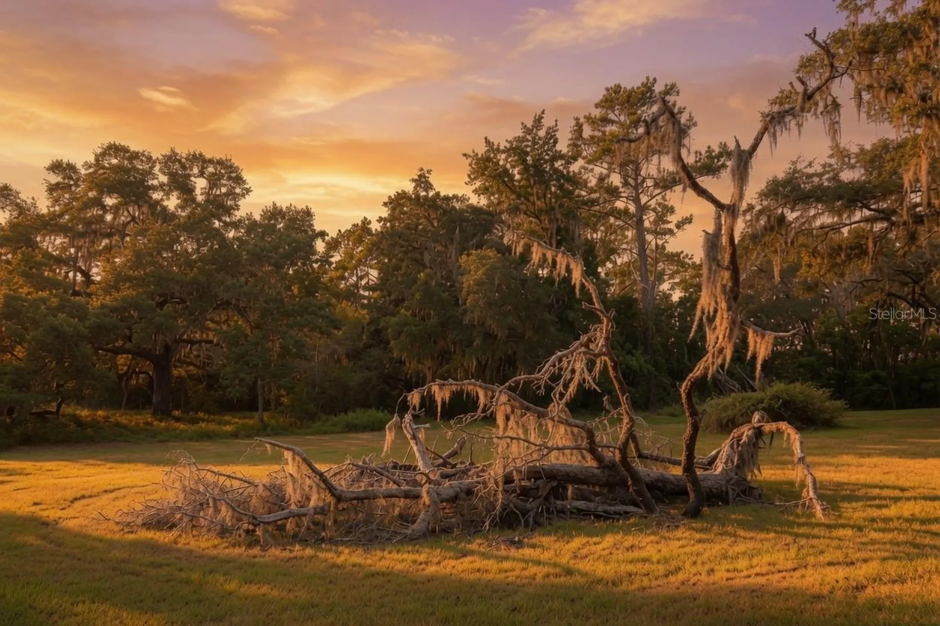 24368 Dorsey Smith Road Brooksville FL 34601