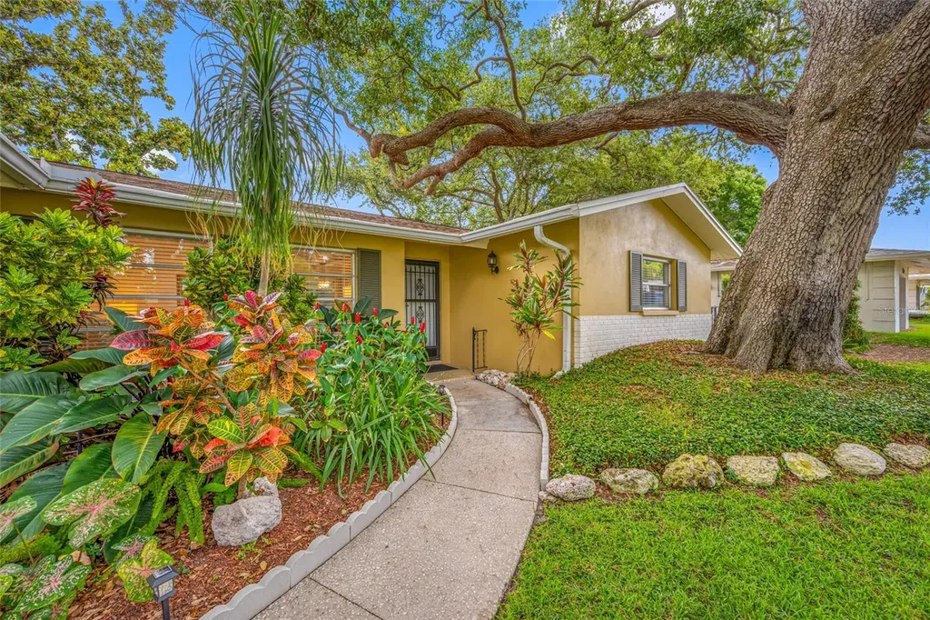 2036 Forest Drive Clearwater FL 33763
