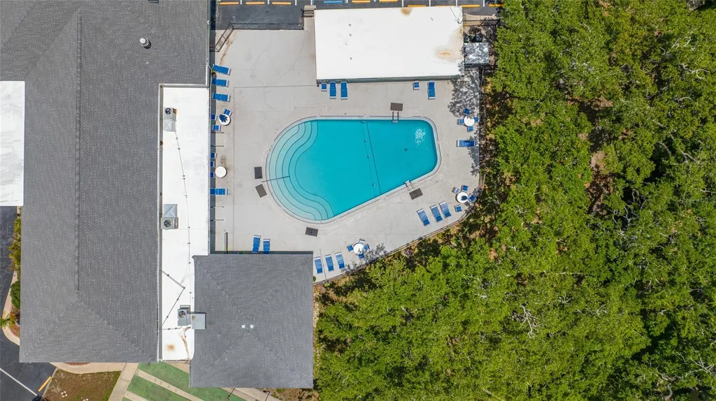 2036 Forest Drive Clearwater FL 33763