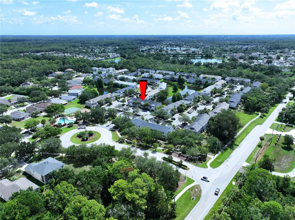 12207 Country White Circle Tampa FL 33635