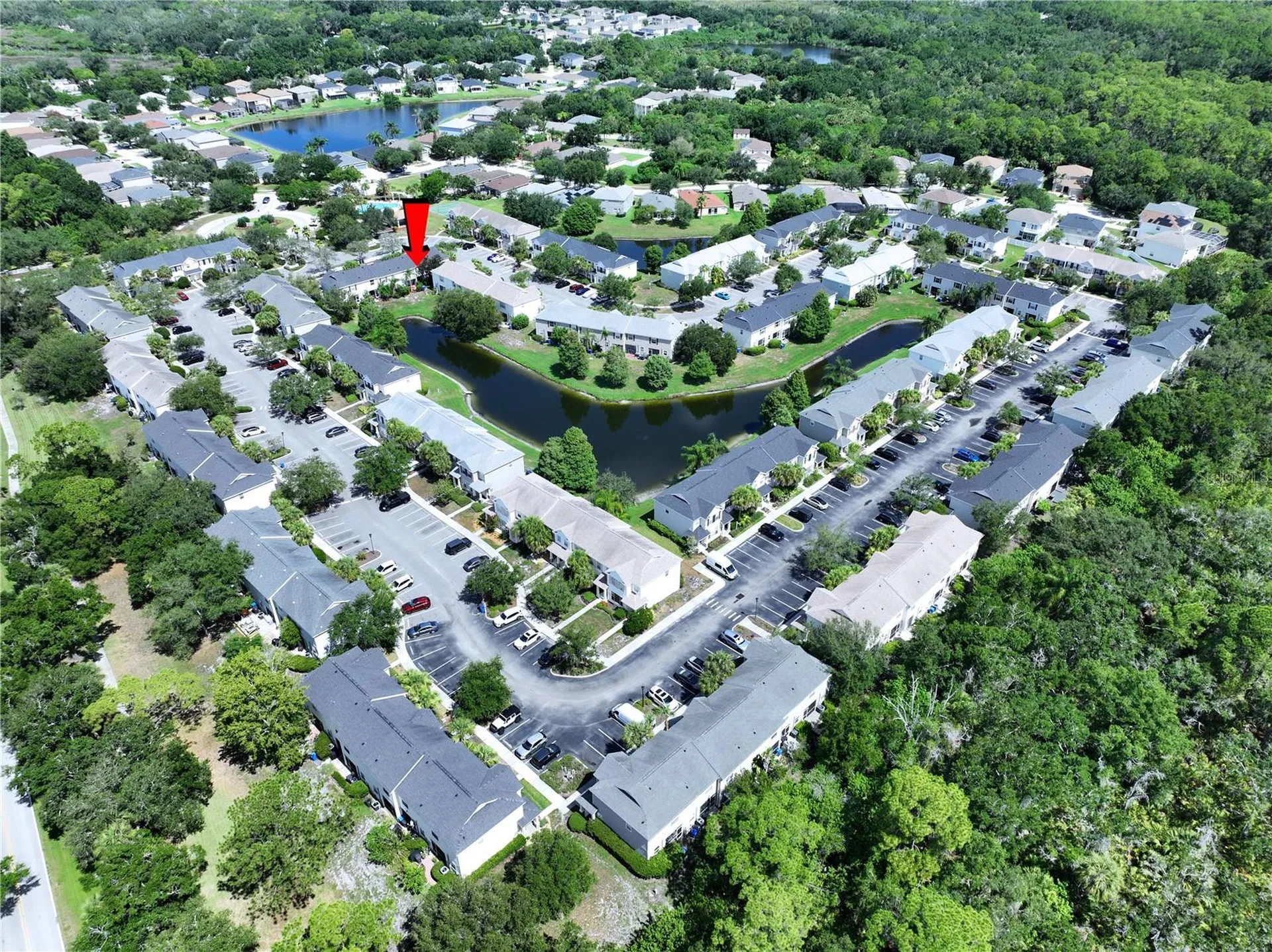 12207 Country White Circle Tampa FL 33635