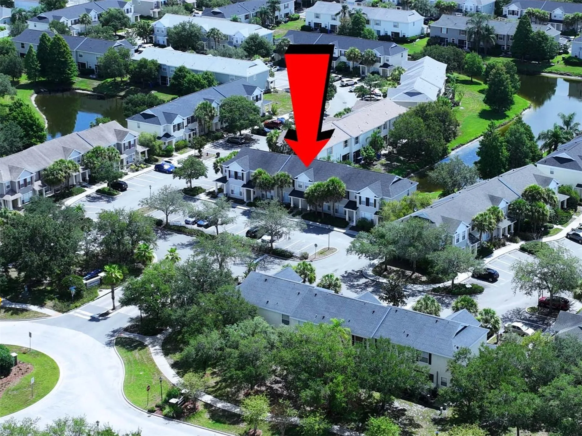 12207 Country White Circle Tampa FL 33635