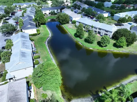 12207 Country White Circle Tampa FL 33635