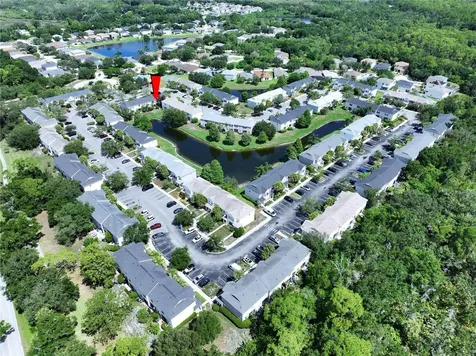 12207 Country White Circle Tampa FL 33635