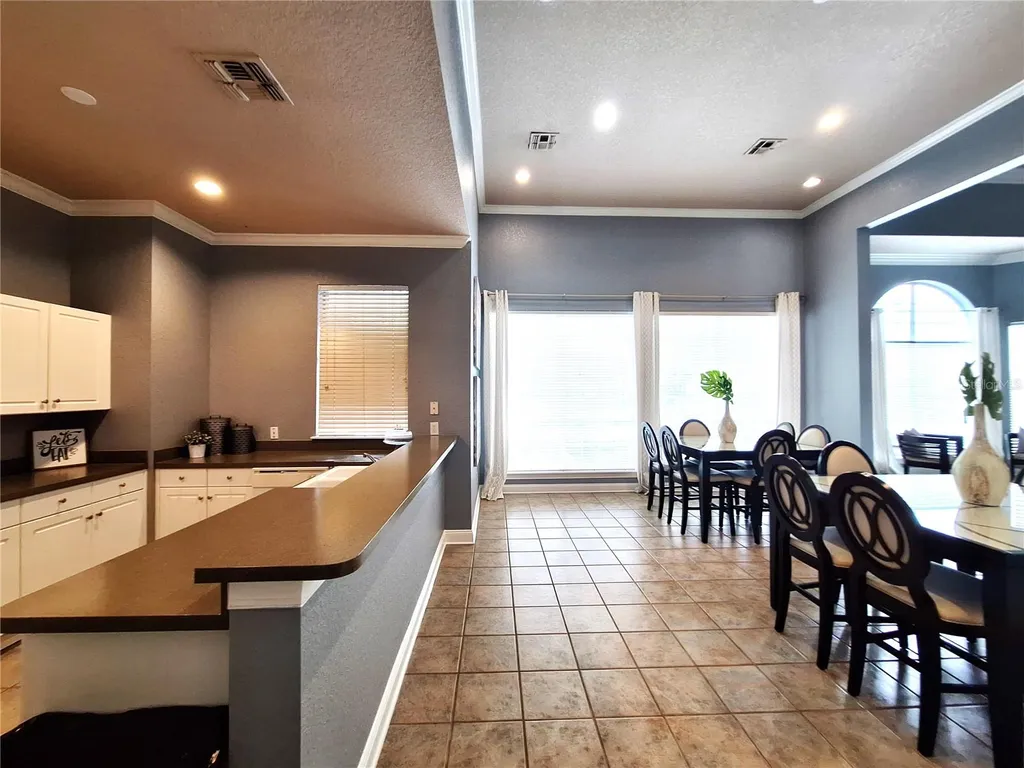 12906 Sanctuary Cove Drive Tampa FL 33637