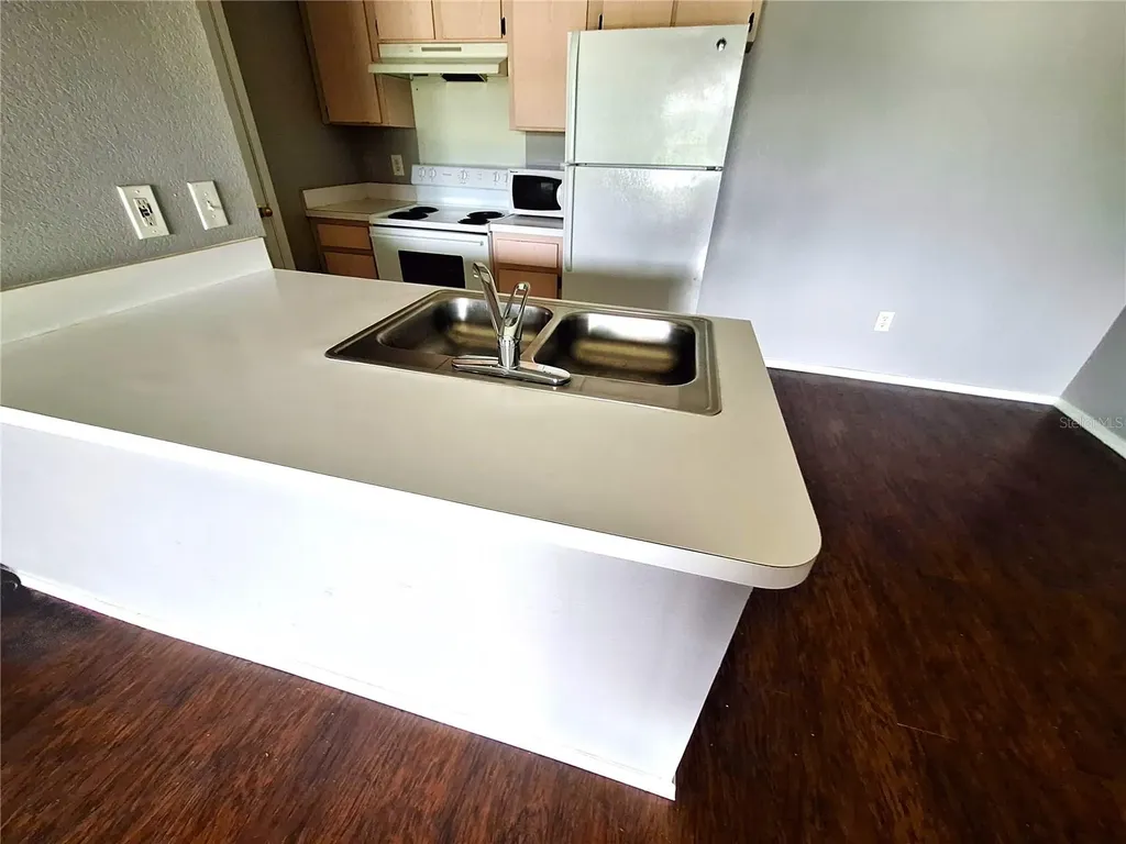 12906 Sanctuary Cove Drive Tampa FL 33637