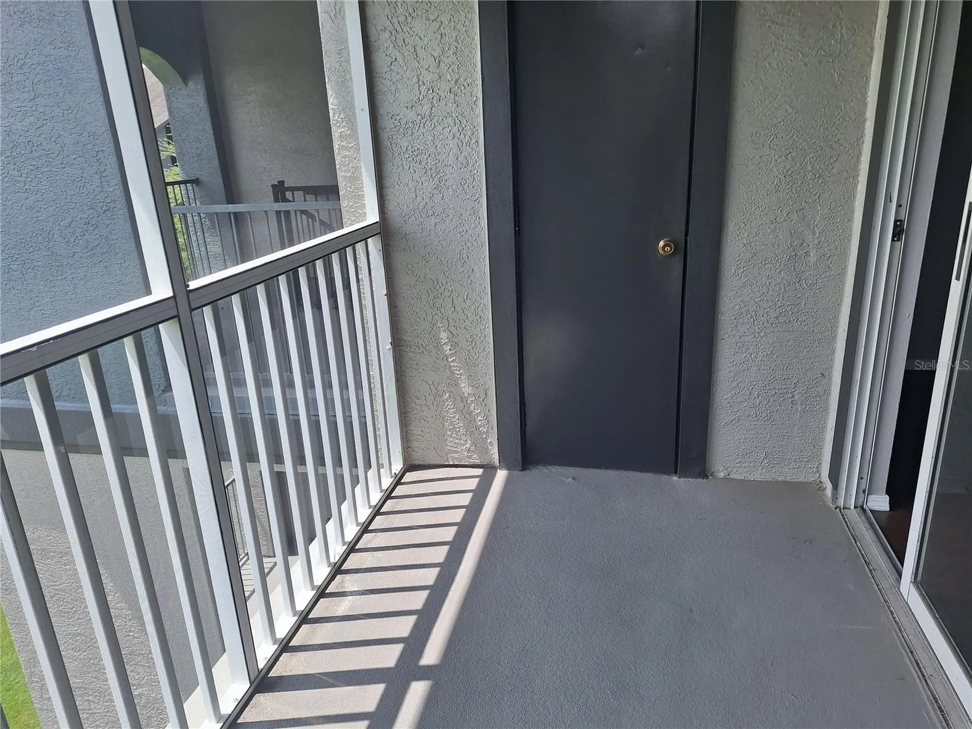 12906 Sanctuary Cove Drive Tampa FL 33637