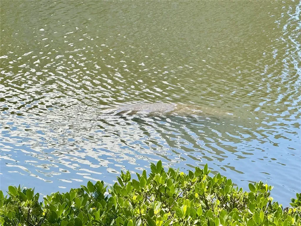 448 Bahia Beach Boulevard Ruskin FL 33570