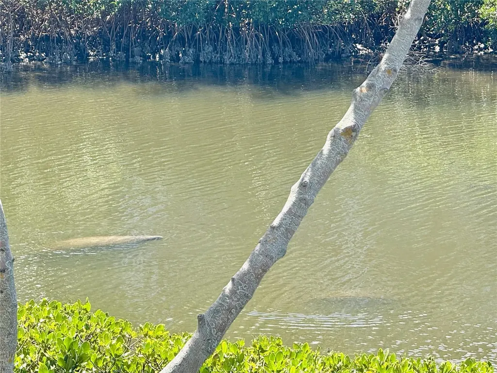 448 Bahia Beach Boulevard Ruskin FL 33570