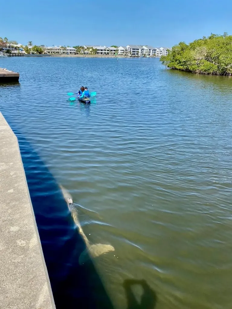 448 Bahia Beach Boulevard Ruskin FL 33570