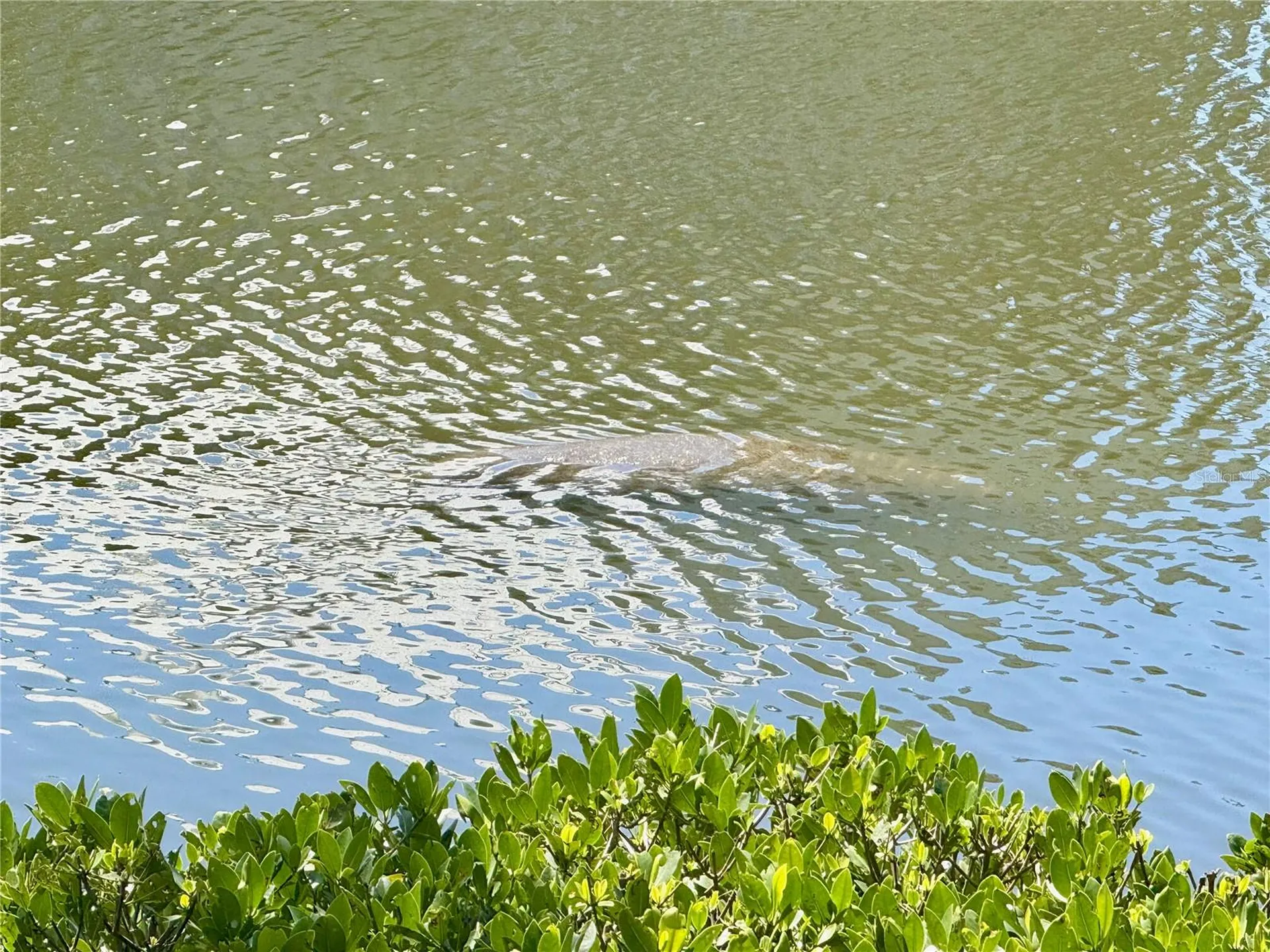 448 Bahia Beach Boulevard Ruskin FL 33570