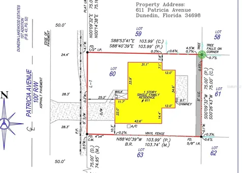 611 Patricia Avenue Dunedin FL 34698