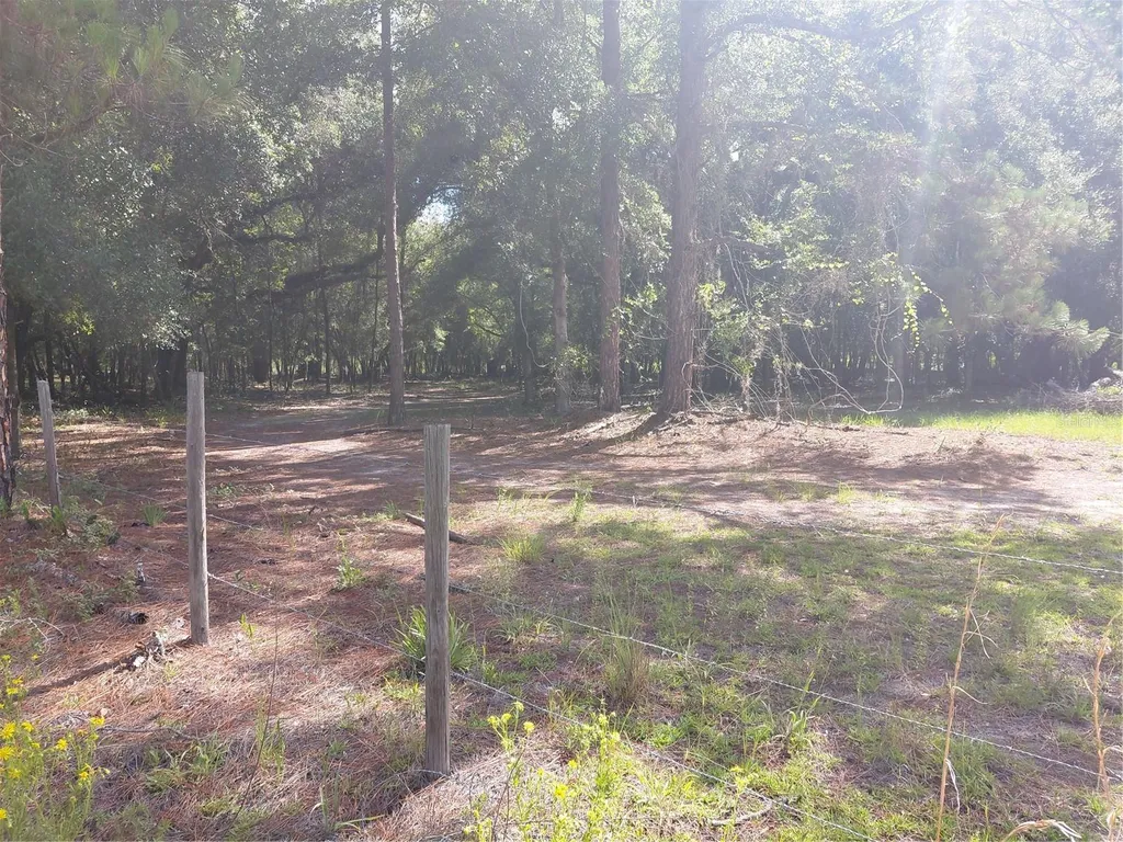 Pinon Drive Webster FL 33597