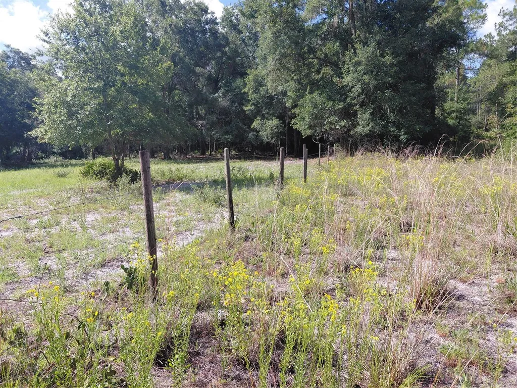 Pinon Drive Webster FL 33597