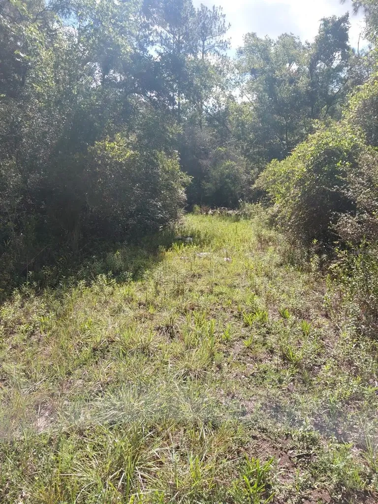 Pinon Drive Webster FL 33597