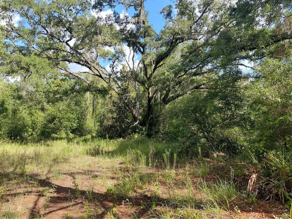 Pinon Drive Webster FL 33597