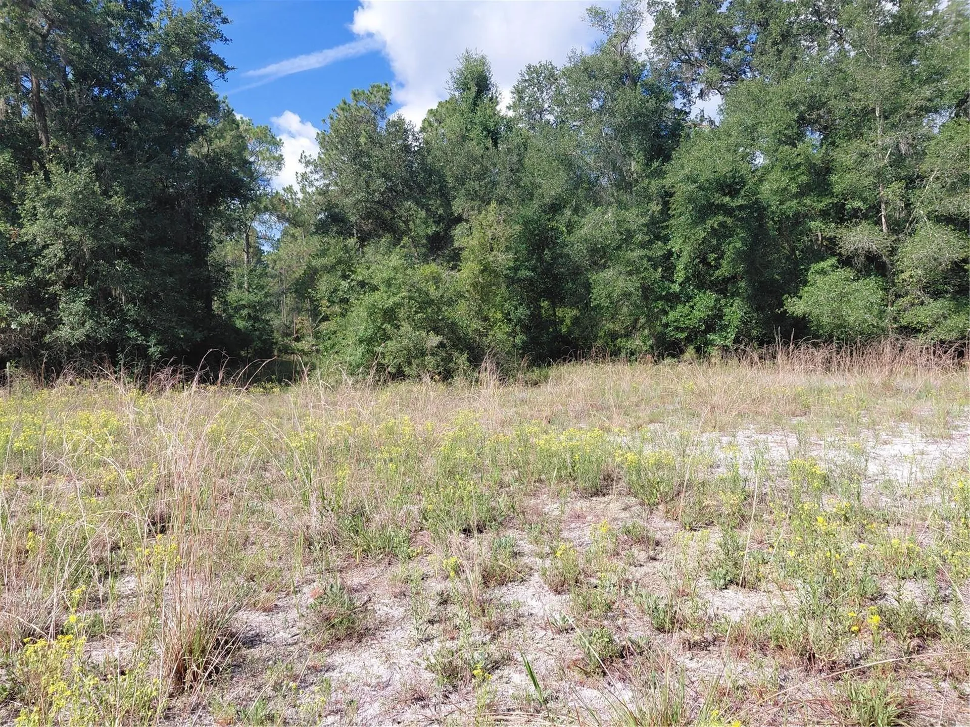 Pinon Drive Webster FL 33597